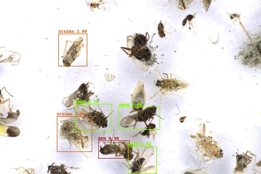 Image 2